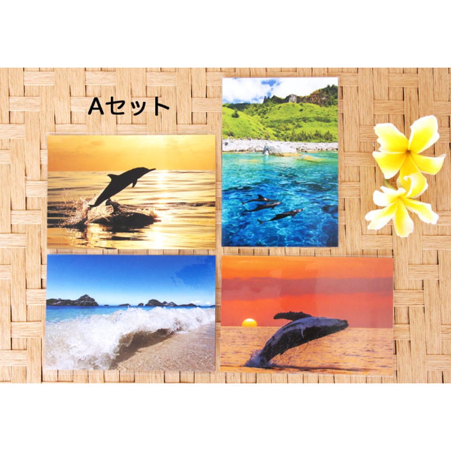 5ef53fe70d5e386c21a41598