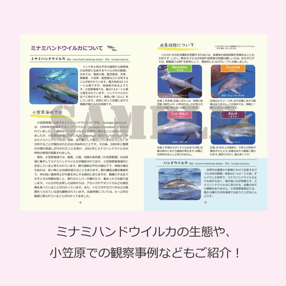 60592c9bd5e9c90ee899b56d