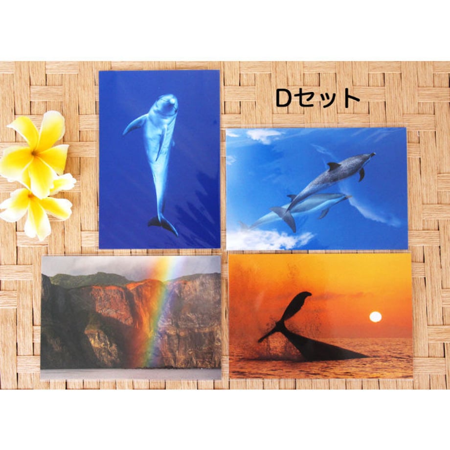 5ef53fe70d5e386c21a41598