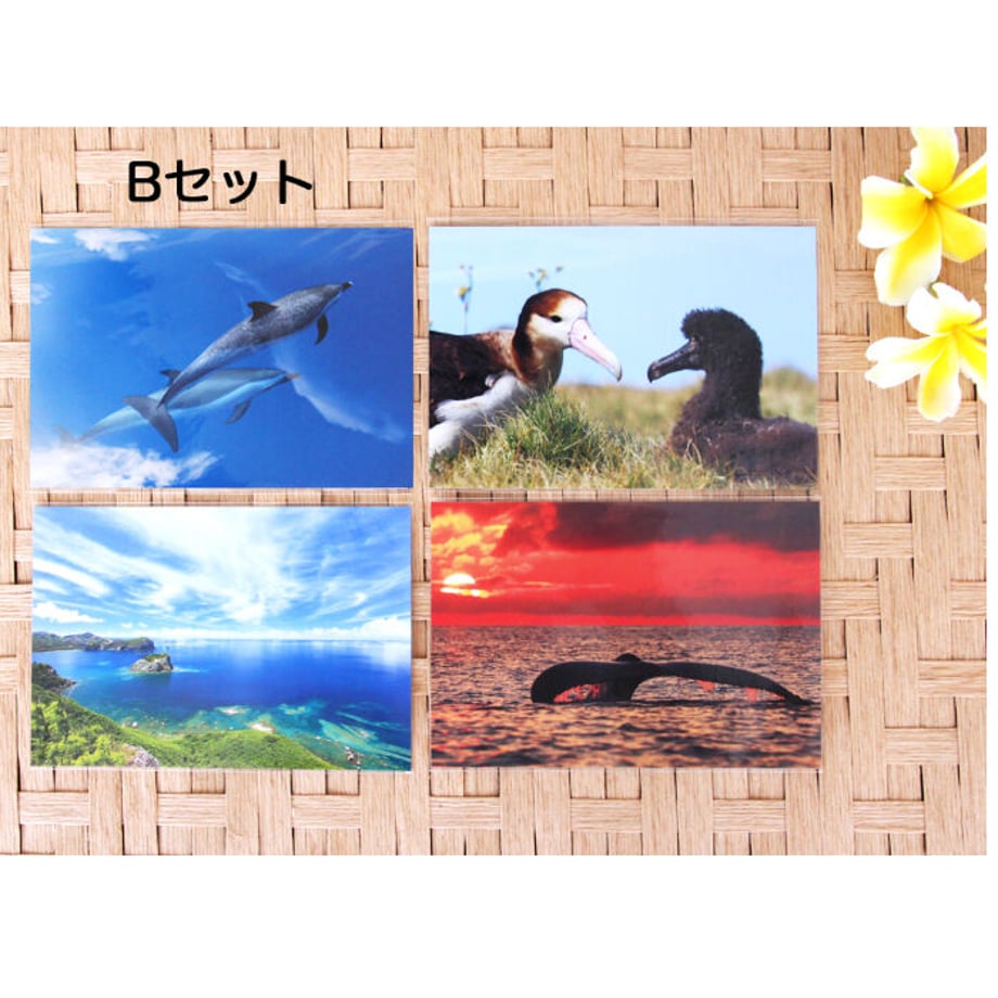 5ef53fe70d5e386c21a41598