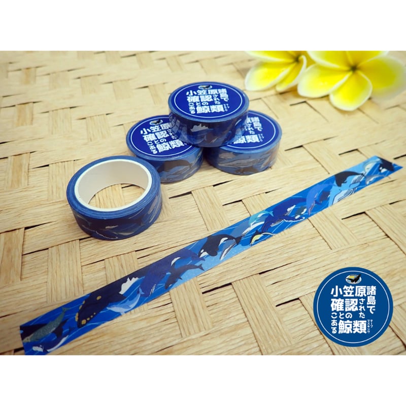 小笠原の鯨類マスキングテープ | MEGAPTERA