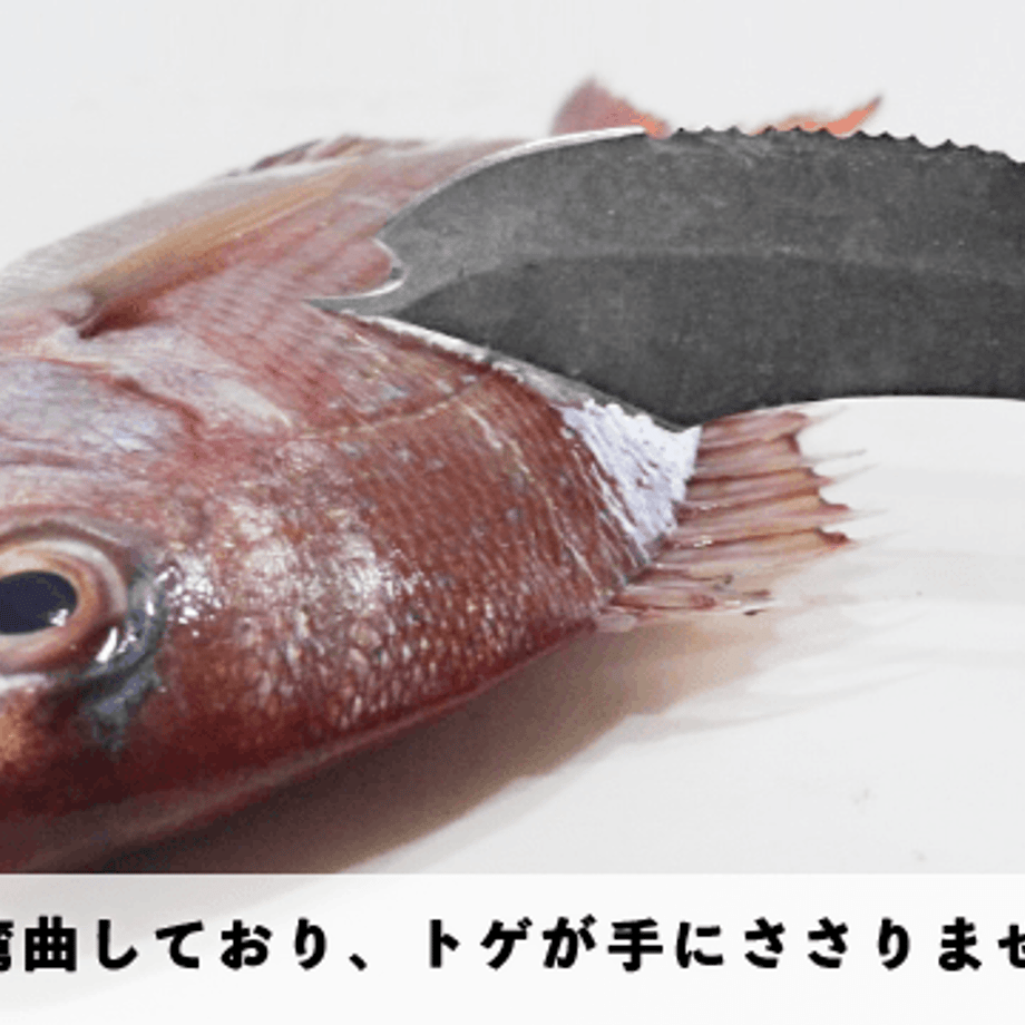 5faf929772eb462dd8ae4cf7