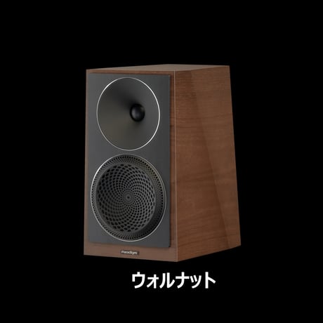 Paradigm Founder 40B