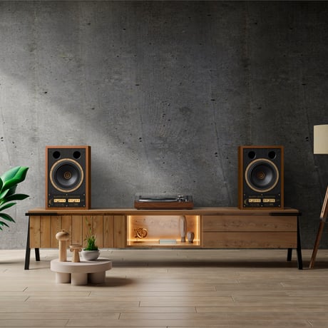 TANNOY SGM10