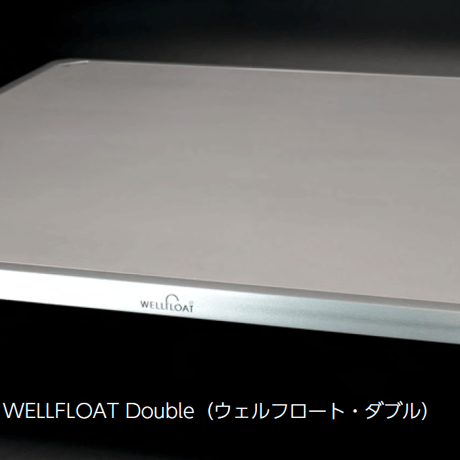 WELLFLOAT Double （Double 4548）