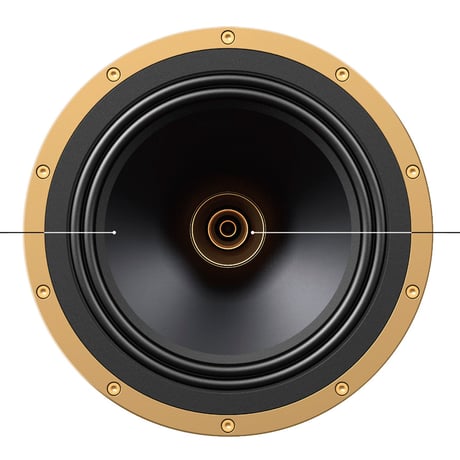 TANNOY SGM10