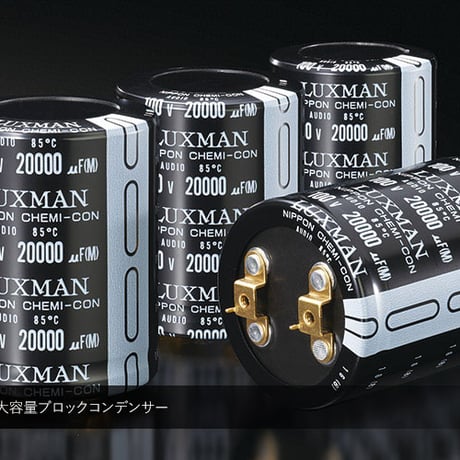 LUXMAN M-10X