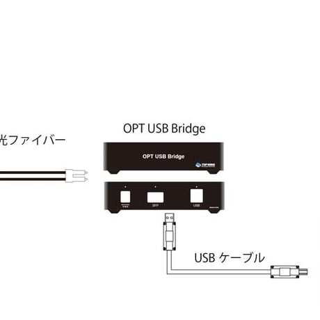 TOP WING OPT LAN Bridge