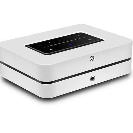 Bluesound（ブルーサウンド） POWERNODE (N331)