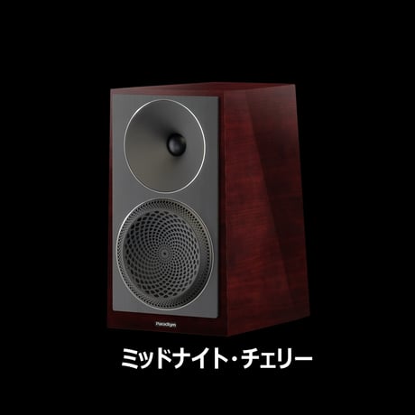Paradigm Founder 40B