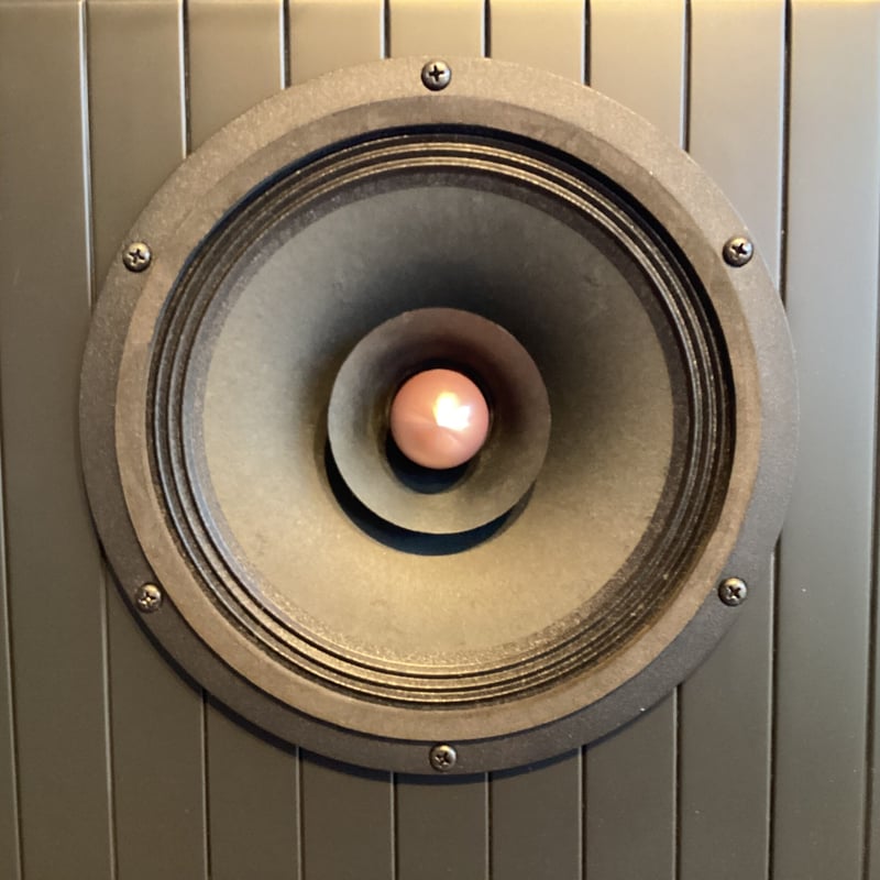 HASEHIRO AUDIO Jazz Audio Fan's Only 【UMU-191M