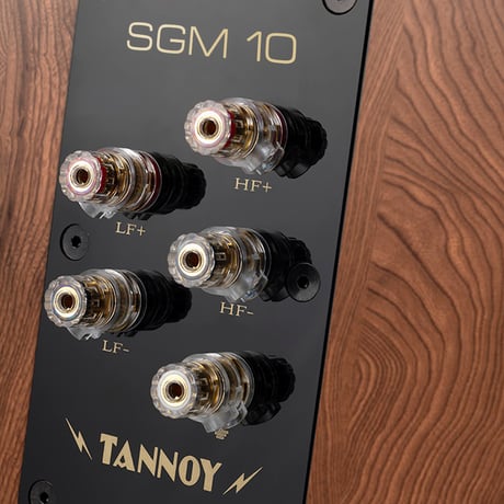 TANNOY SGM10