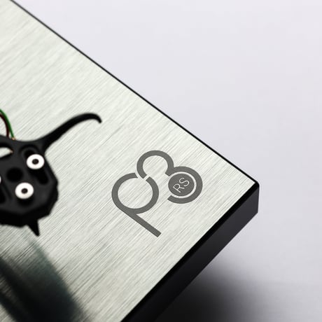 REGA Planar3 RS （Rega Special）