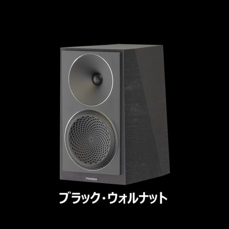 Paradigm Founder 40B