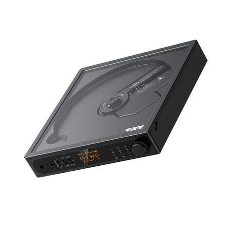 FIIO DM15 R2R