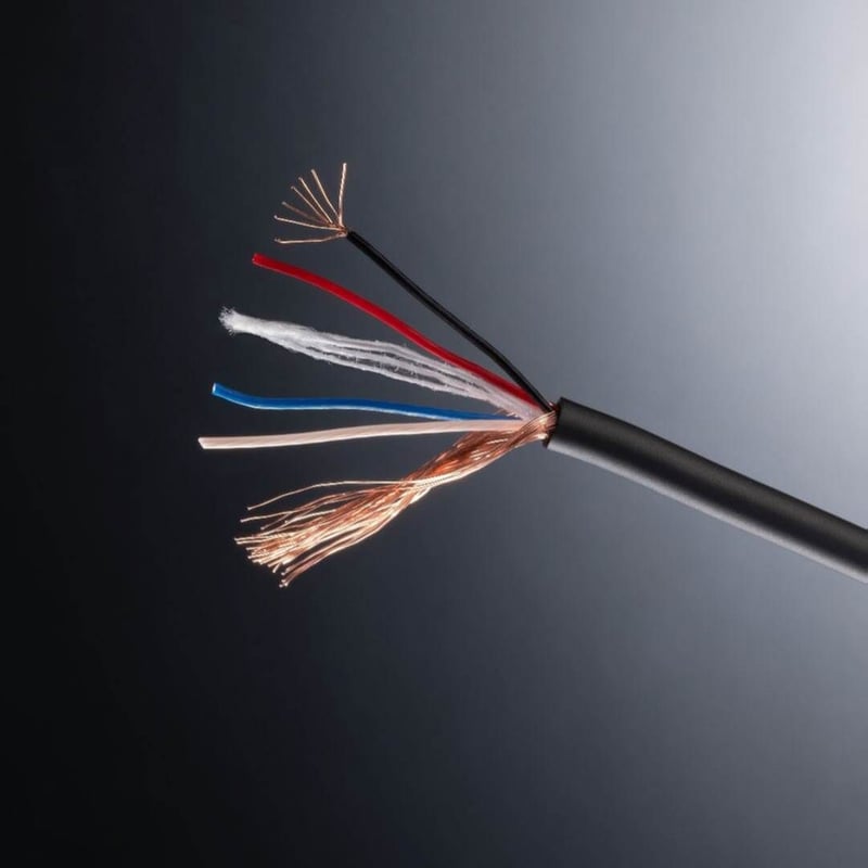 TOP WING White Signal RCA/XLR | ソロットオーディオ専門店