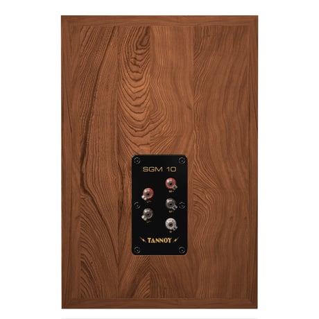 TANNOY SGM10