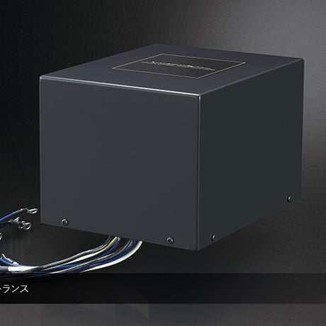 LUXMAN M-10X