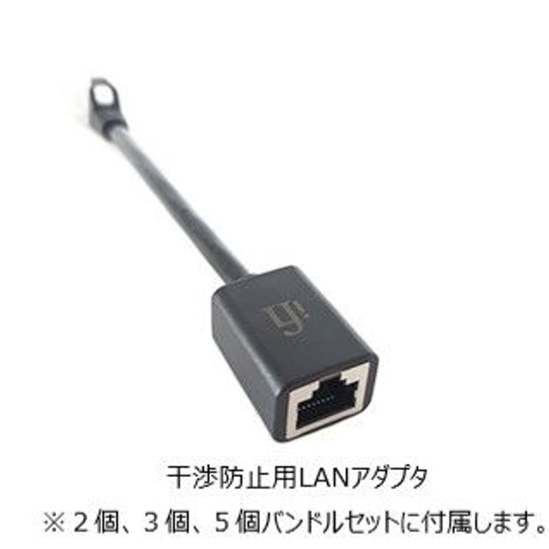 iFi-Audio 2個バンドルセット LAN iSilencer iFi-Audio 2個バンドルセット LAN iSilencer iFi audio LAN