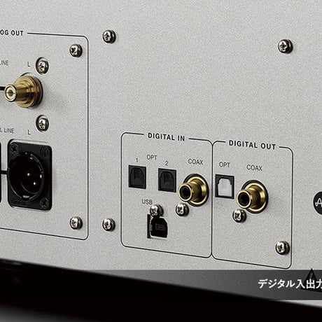 LUXMAN D-10X
