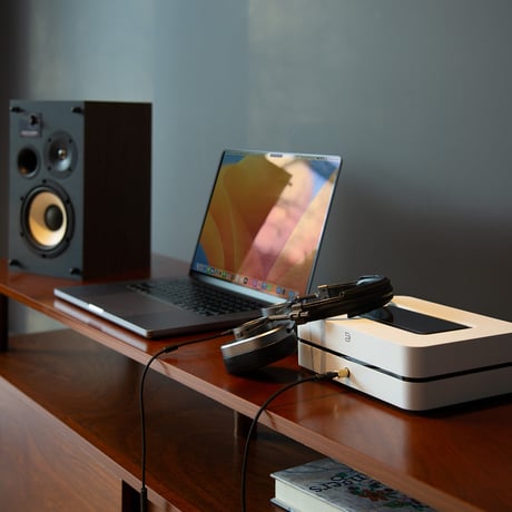 Bluesound（ブルーサウンド） POWERNODE (N331)