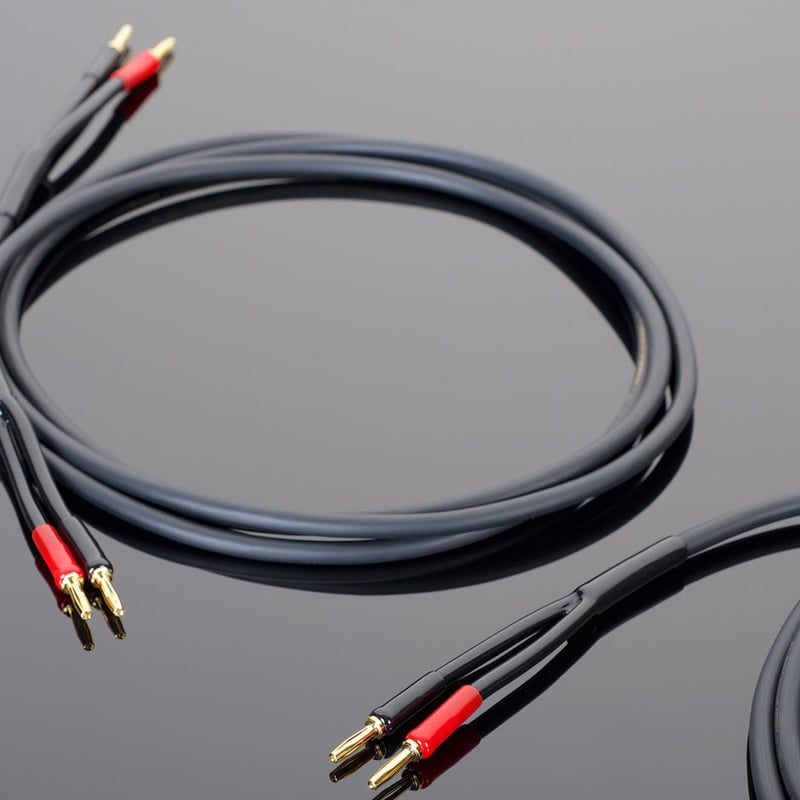 TRANSPARENT “hardwired” HWSC （スピーカーケーブル） | ソロット 