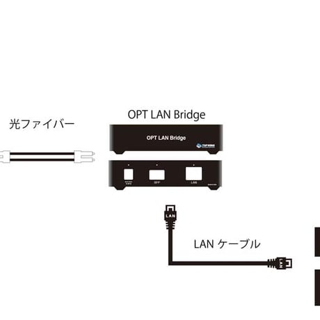 TOP WING OPT LAN Bridge
