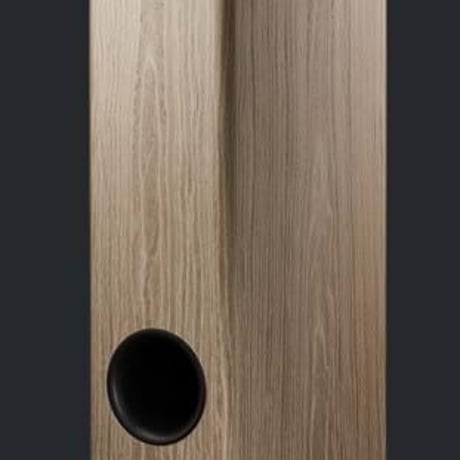 DYNAUDIO EVOKE30