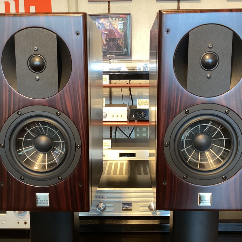 Vienna acoustics HAYDN Grand Symphony Edition（ペ