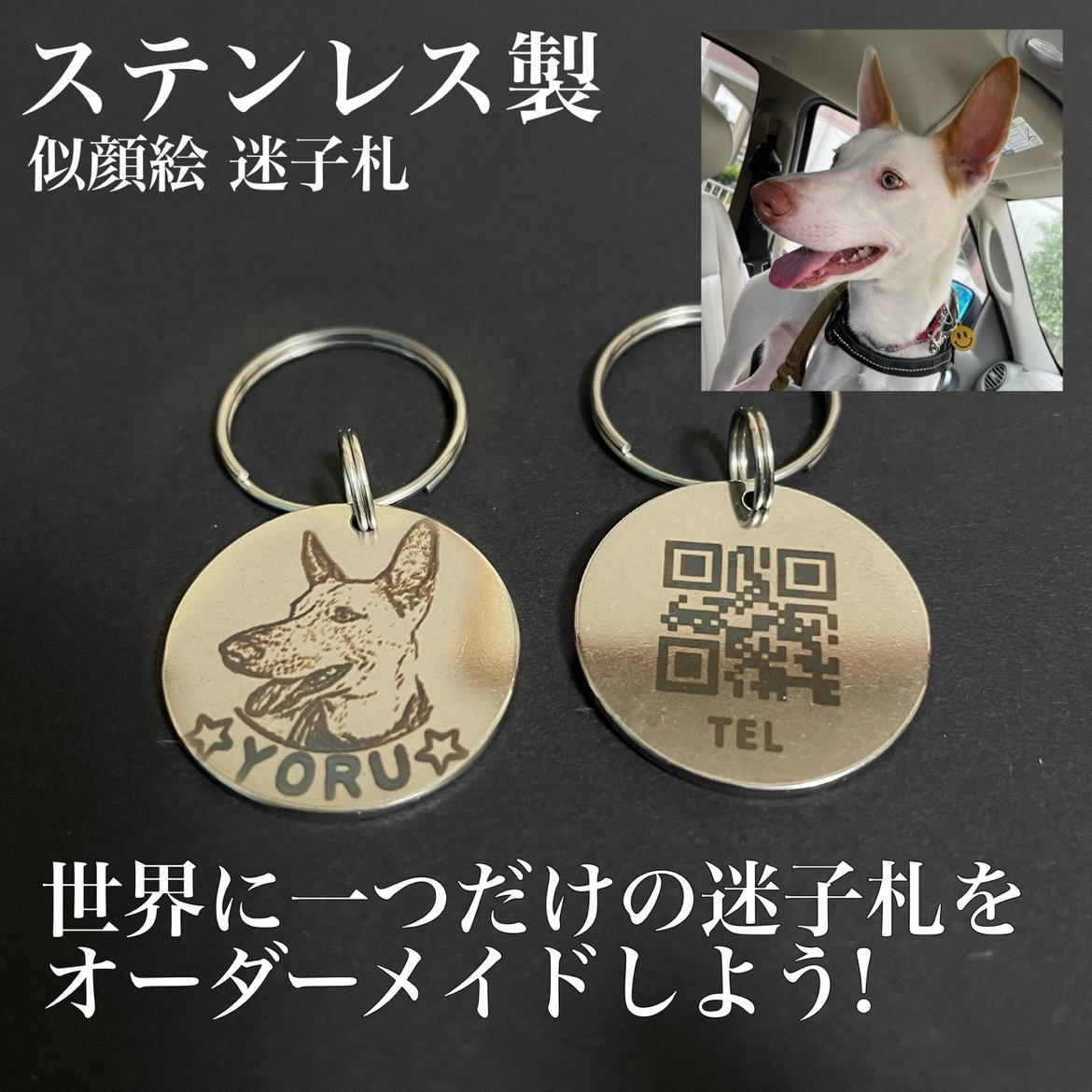 はな様　オーダー専用☆ 迷子札　フェルト　名札 ☆うちの子迷子札☆オーダー受付中 名札 フェルト 愛犬 イベント