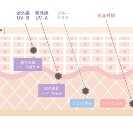 【有害光線から目を守る】美肌メガネ　紫外線、ブルーライト、近赤外線カットレンズ　ユニセックス　レディース　メンズ　機能性サングラス