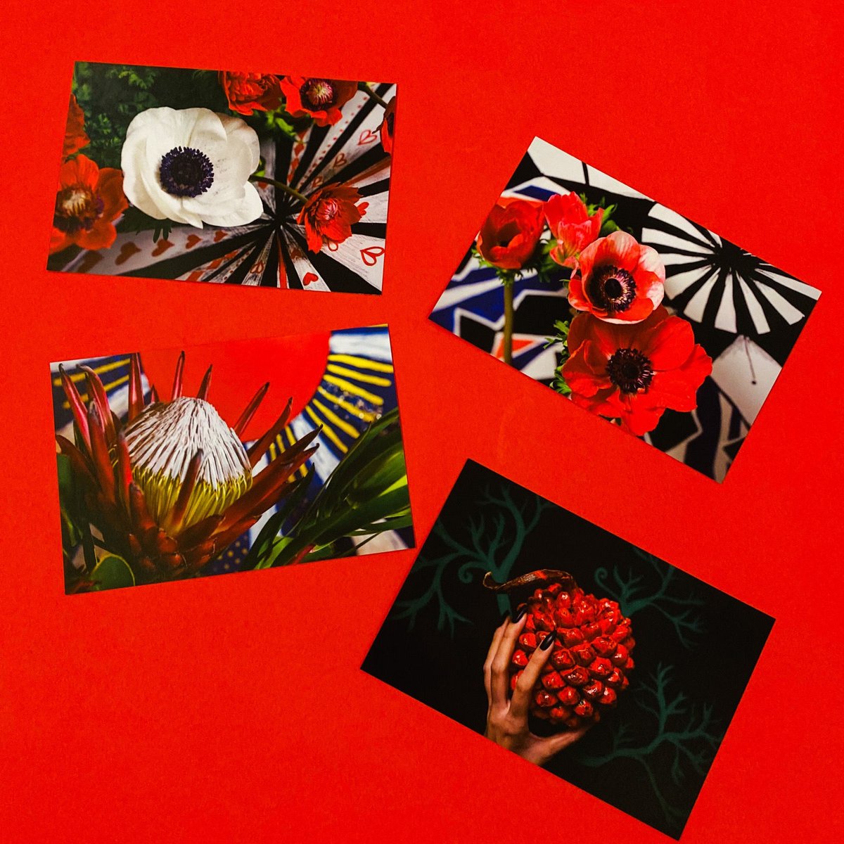 ART CARD 《A》SET | Mana Osawa STORE | 大沢愛アートオンライ