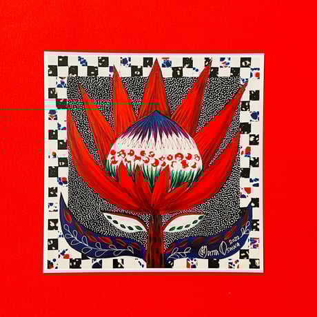 キングプロテア | STORES