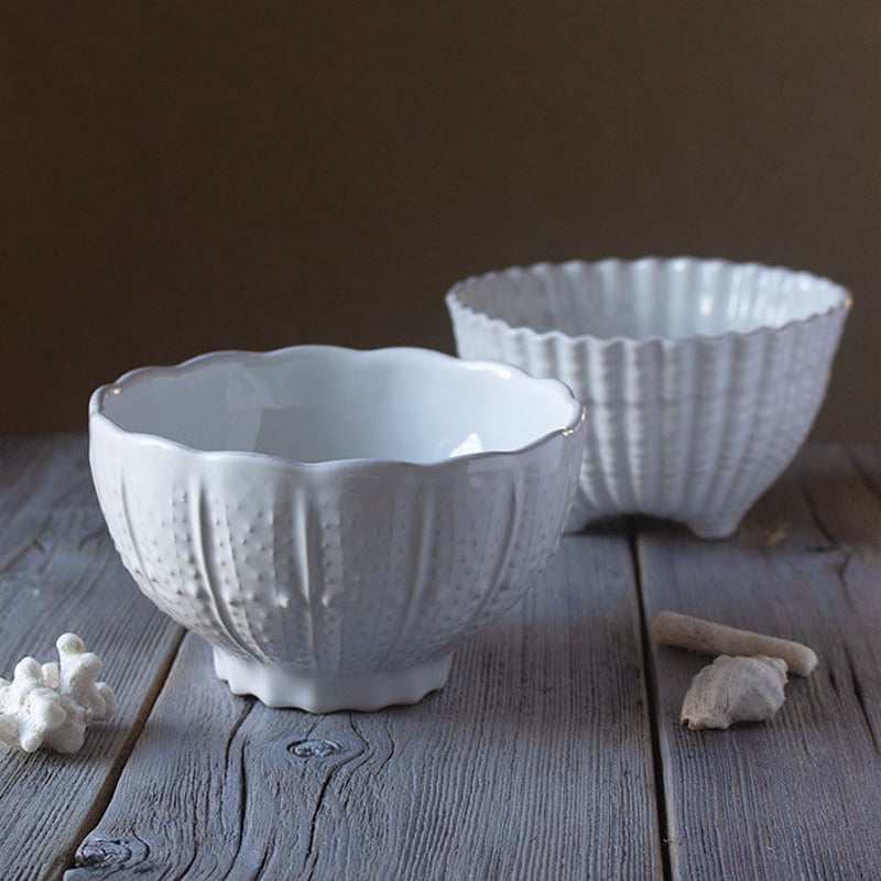 ウニ柄 ボウル（COSTA NOVA） | The 港町スタイル