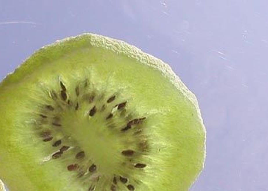 5f1e6f117df2816dd979a040
