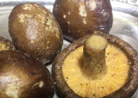 野菜チップス＜しいたけチップ＞