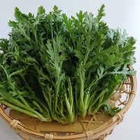 京都府産　生のままサラダで美味しい春菊（２０袋）
