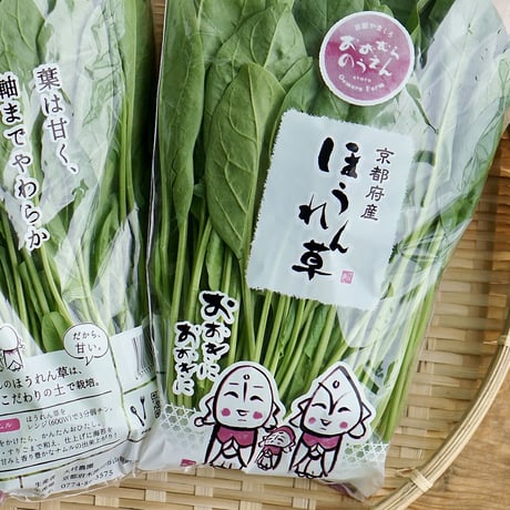 京都府産　朝どりほうれん草（10袋）