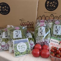 ギフトにもピッタリ♪　京都府産　朝どり春菊3袋＋ほうれん草3袋＋トマト　詰め合わせ