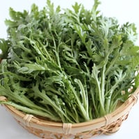 京都府産　生のままサラダで美味しい春菊（10袋）