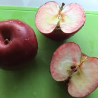 紅玉りんご（８個入）