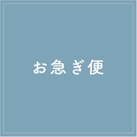 【OPTION】express delivery