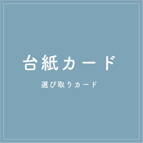 【OPTION】  mount card