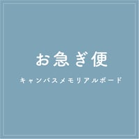 【OPTION】express delivery