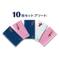 あかべぇマルチケース10枚セット（アソート）