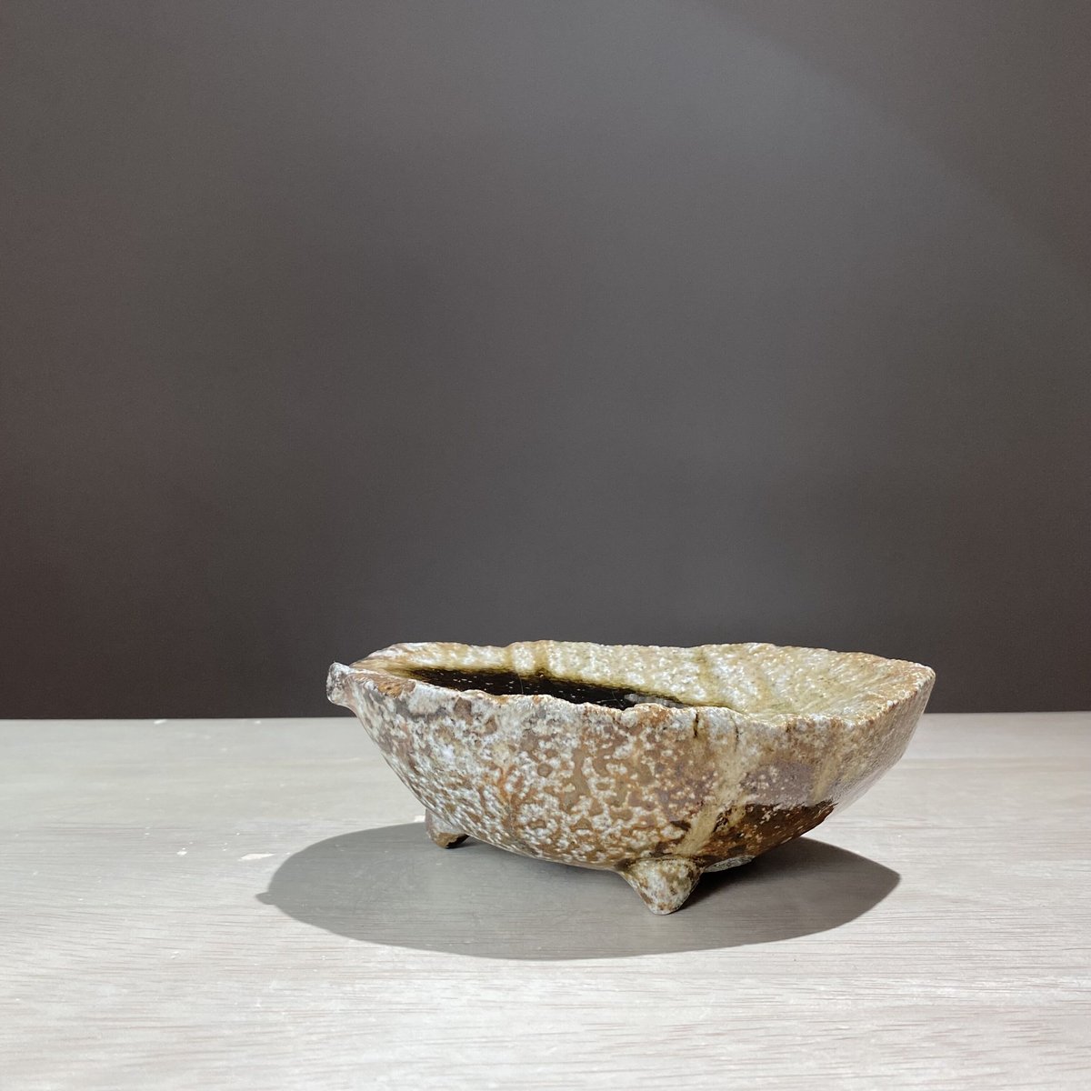 信楽焼人気作家迫能弘 信楽焼き締め木の葉銘々皿「五枚組、共箱付き」 信楽焼人気作家迫能弘 信楽焼き締め木の葉銘々皿「五枚組、共箱付き