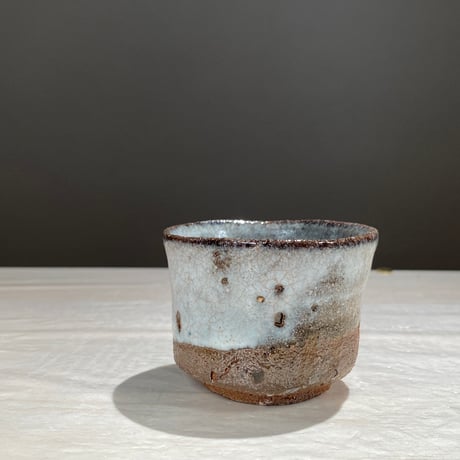 CATEGORY 酒器 | ryoisseki-online by うつわや涼一石