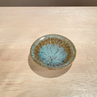 2605-13　大谷土緑釉小皿　水谷渉