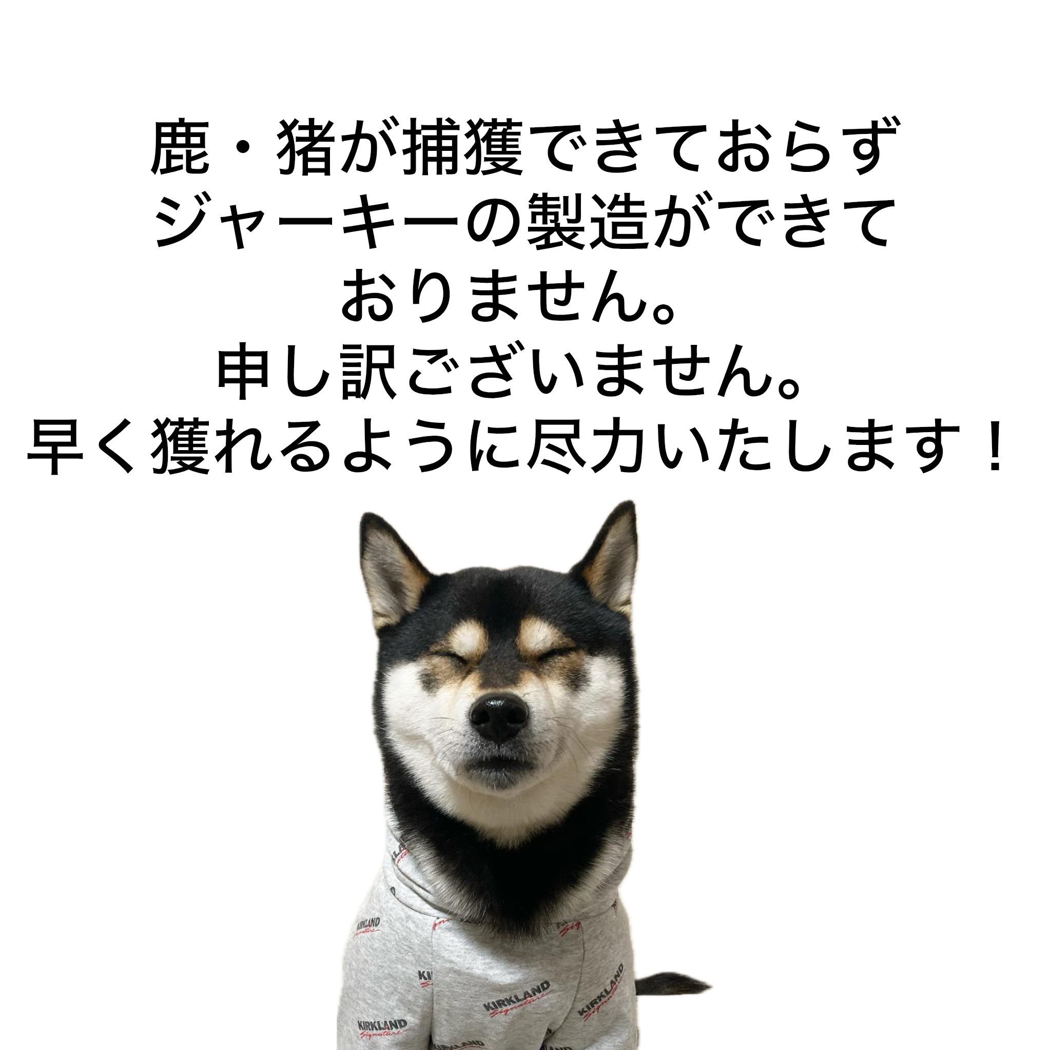お知らせ