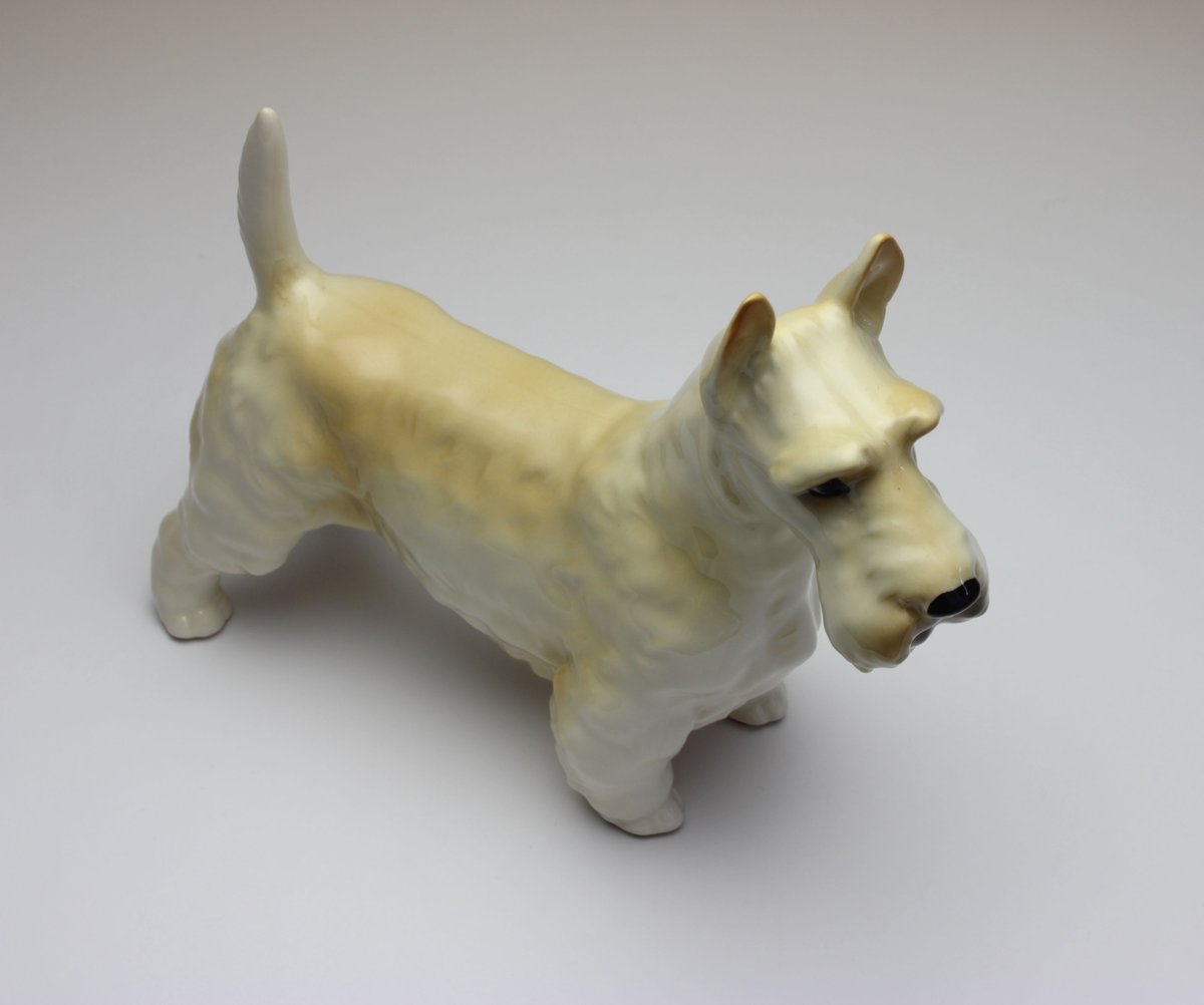 陶器犬置物 スコティッシュテリア ウイートン 小麦 小 | Haniibaaz 陶器犬置物 スコティッシュテリア ウイートン 小麦 小 | Haniibaaz